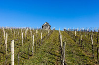 /album/rund-um-den-konigsberg-vulkanland-6-marz-2025/tieschen-kloch-06-03-2025-35-jpg/